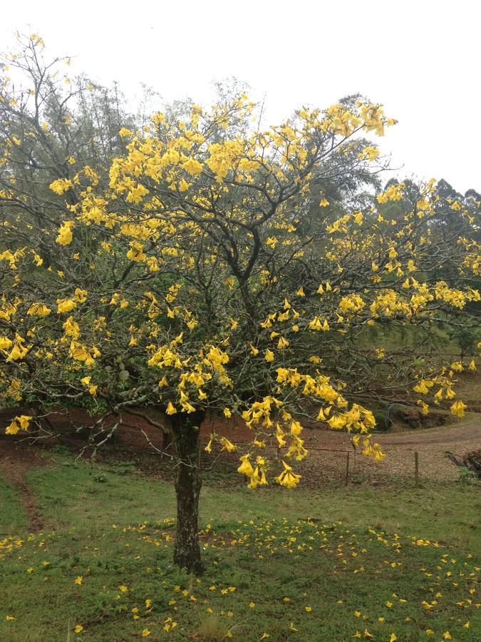 Casa De Campo,Sitio,Vale Europeu-Sc Rio dos Cedros Kültér fotó
